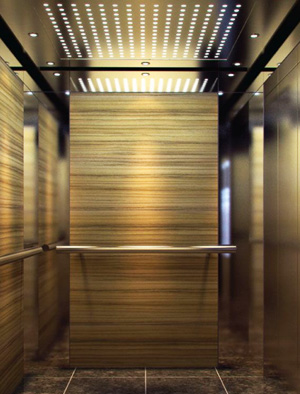 Home Elevator price